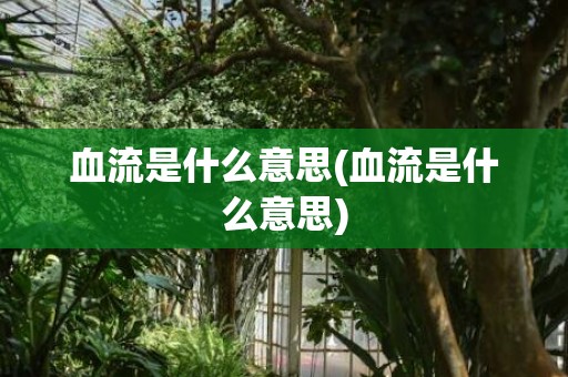 血流是什么意思(血流是什么意思)