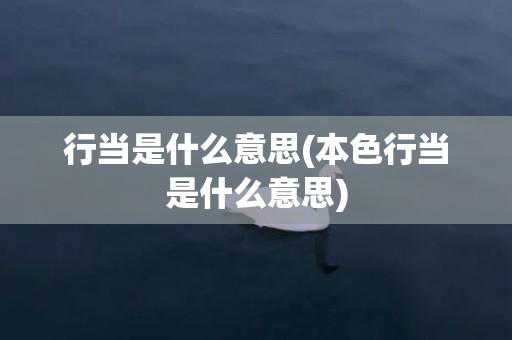 行当是什么意思(本色行当是什么意思)