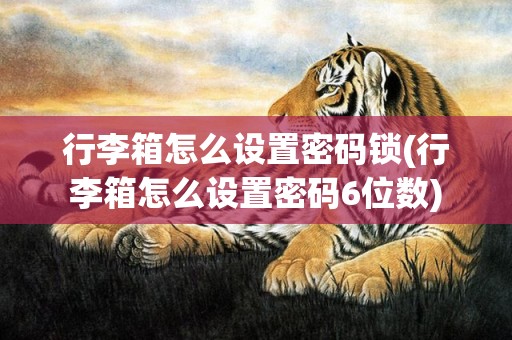 行李箱怎么设置密码锁(行李箱怎么设置密码6位数)