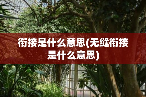 衔接是什么意思(无缝衔接是什么意思)
