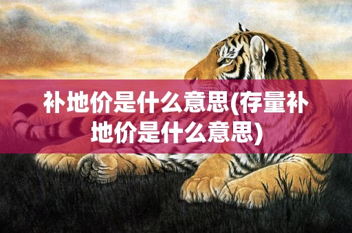 补地价是什么意思(存量补地价是什么意思)