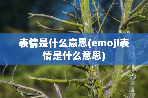 表情是什么意思(emoji表情是什么意思)