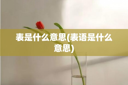 表是什么意思(表语是什么意思)
