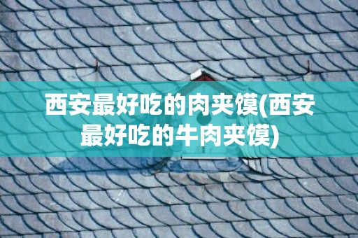 西安最好吃的肉夹馍(西安最好吃的牛肉夹馍)