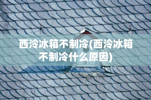 西泠冰箱不制冷(西泠冰箱不制冷什么原因)