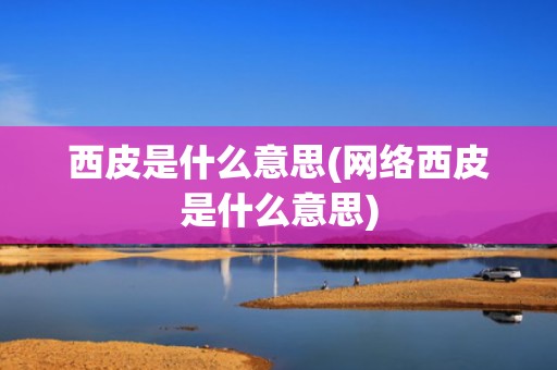 西皮是什么意思(网络西皮是什么意思)