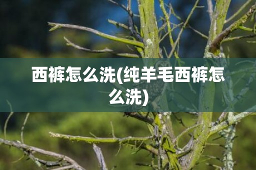 西裤怎么洗(纯羊毛西裤怎么洗)