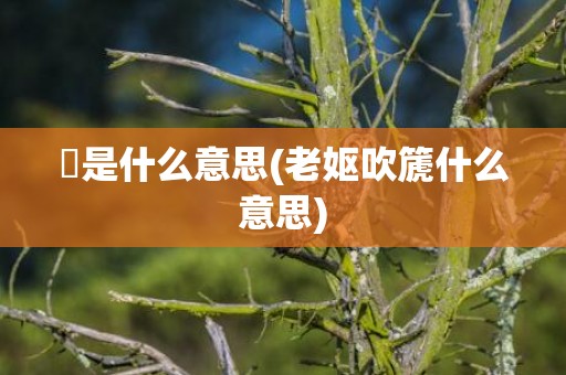 覅是什么意思(老妪吹篪什么意思)