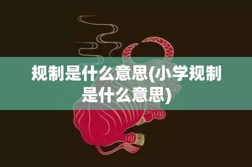 规制是什么意思(小学规制是什么意思)