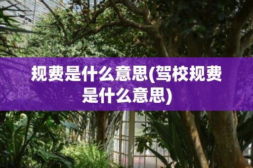 规费是什么意思(驾校规费是什么意思)