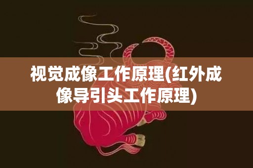 视觉成像工作原理(红外成像导引头工作原理)