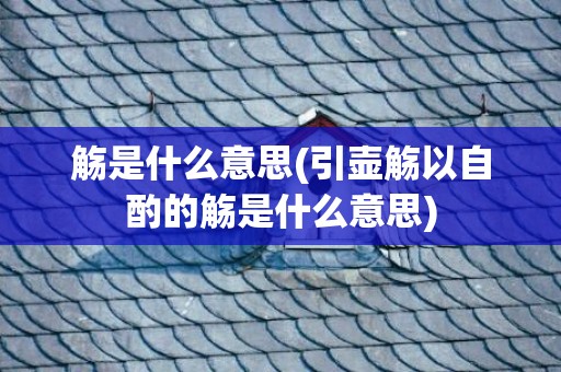 觞是什么意思(引壶觞以自酌的觞是什么意思)