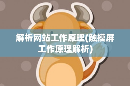 解析网站工作原理(触摸屏工作原理解析)