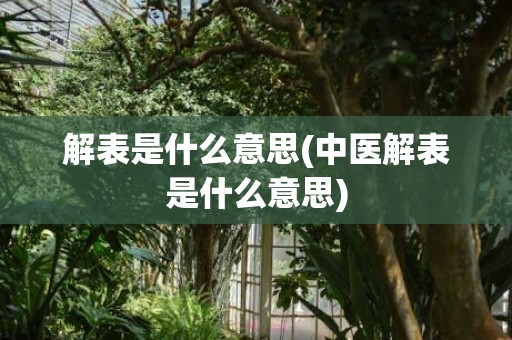 解表是什么意思(中医解表是什么意思)