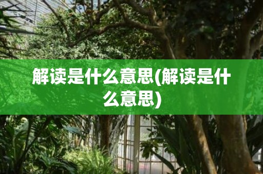 解读是什么意思(解读是什么意思)