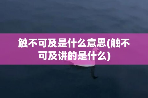 触不可及是什么意思(触不可及讲的是什么)