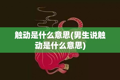 触动是什么意思(男生说触动是什么意思)