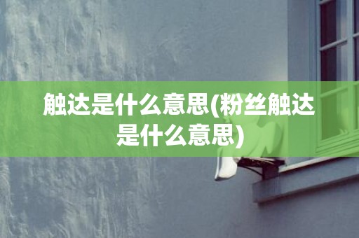 触达是什么意思(粉丝触达是什么意思)