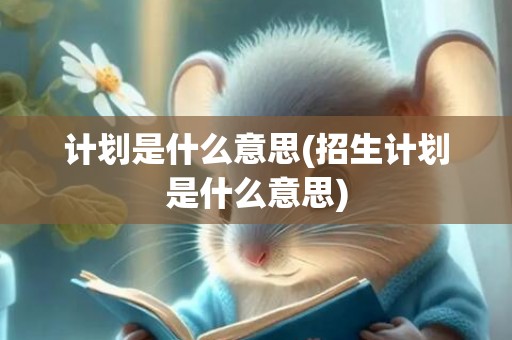 计划是什么意思(招生计划是什么意思)