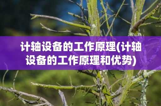 计轴设备的工作原理(计轴设备的工作原理和优势)