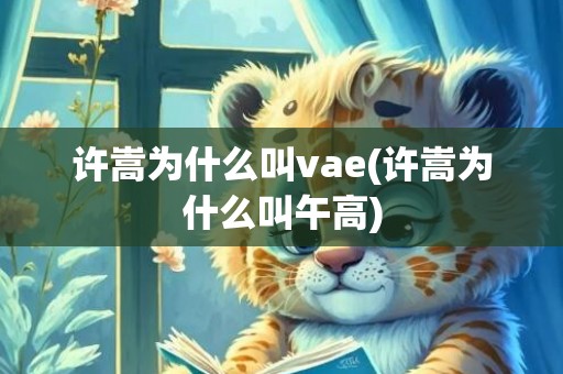 许嵩为什么叫vae(许嵩为什么叫午高)