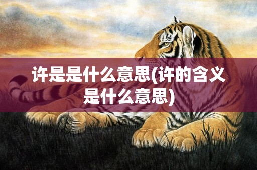 许是是什么意思(许的含义是什么意思)