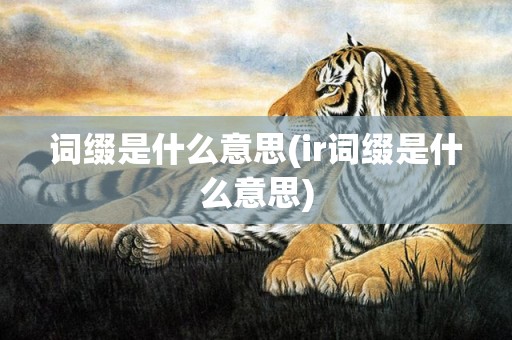 词缀是什么意思(ir词缀是什么意思)