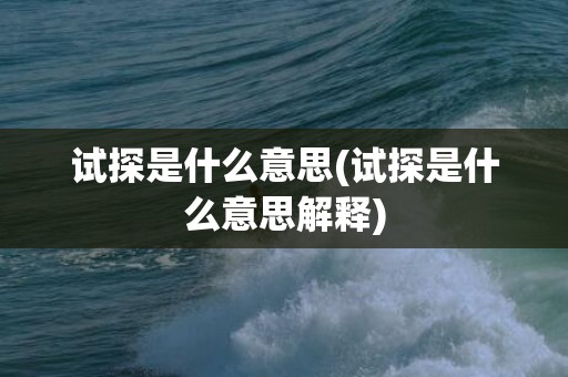 试探是什么意思(试探是什么意思解释)