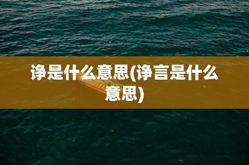 诤是什么意思(诤言是什么意思)