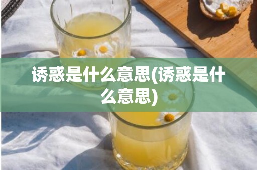 诱惑是什么意思(诱惑是什么意思)