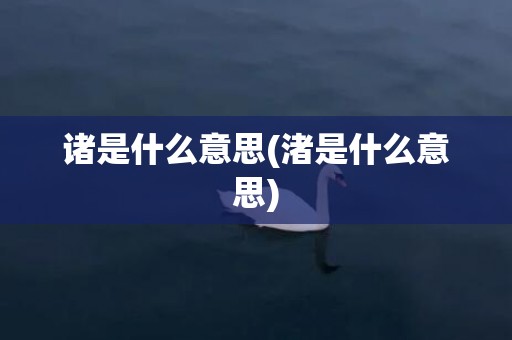 诸是什么意思(渚是什么意思)
