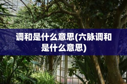 调和是什么意思(六脉调和是什么意思)
