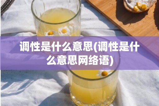 调性是什么意思(调性是什么意思网络语)
