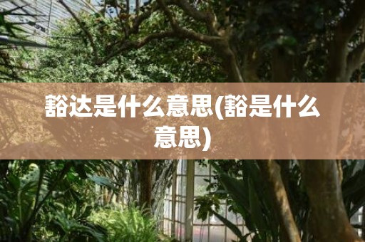 豁达是什么意思(豁是什么意思)