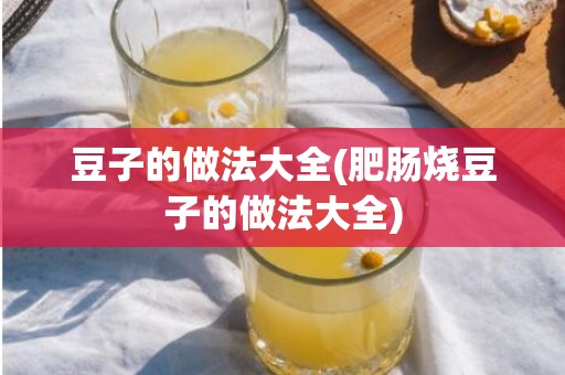 豆子的做法大全(肥肠烧豆子的做法大全)