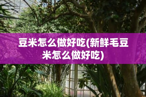 豆米怎么做好吃(新鲜毛豆米怎么做好吃)