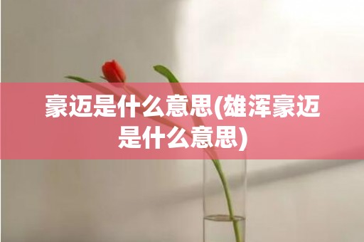 豪迈是什么意思(雄浑豪迈是什么意思)