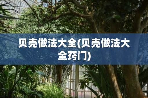 贝壳做法大全(贝壳做法大全窍门)