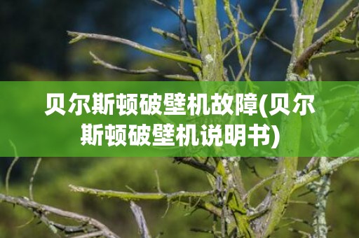 贝尔斯顿破壁机故障(贝尔斯顿破壁机说明书)