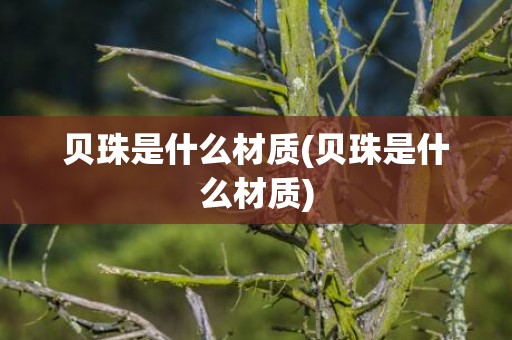 贝珠是什么材质(贝珠是什么材质)
