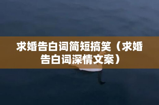 求婚告白词简短搞笑（求婚告白词深情文案）