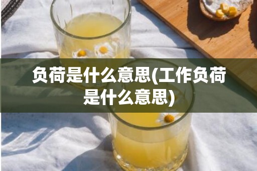 负荷是什么意思(工作负荷是什么意思)