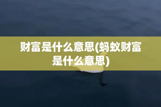 财富是什么意思(蚂蚁财富是什么意思)