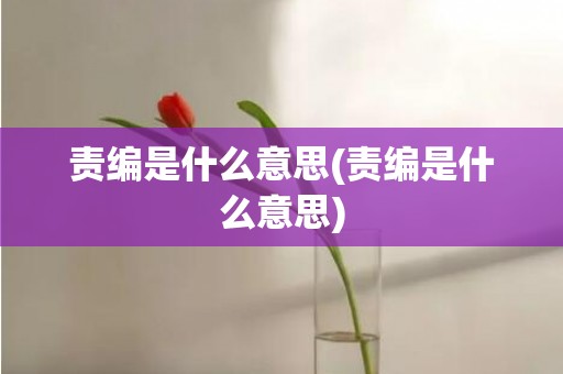 责编是什么意思(责编是什么意思)