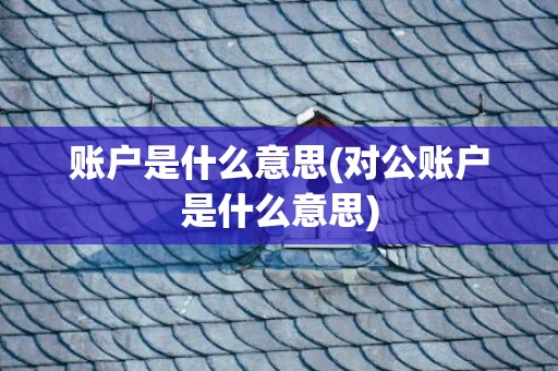 账户是什么意思(对公账户是什么意思)