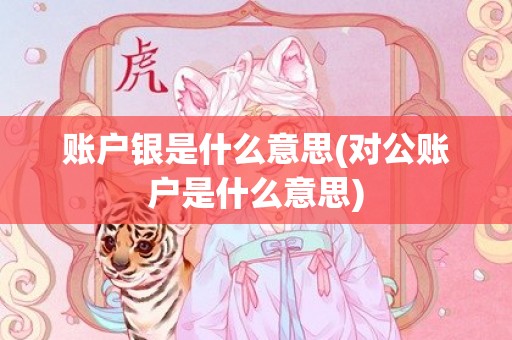 账户银是什么意思(对公账户是什么意思)