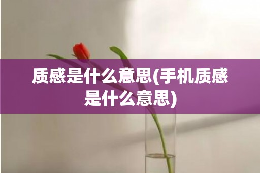 质感是什么意思(手机质感是什么意思)