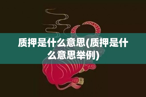质押是什么意思(质押是什么意思举例)