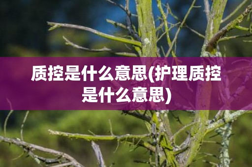 质控是什么意思(护理质控是什么意思)