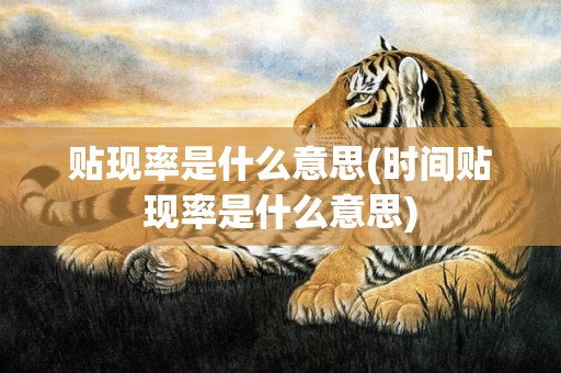 贴现率是什么意思(时间贴现率是什么意思)